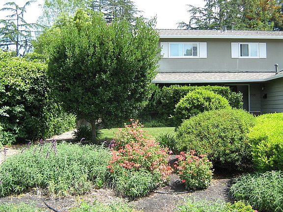 3rd image of 739 Christine Dr