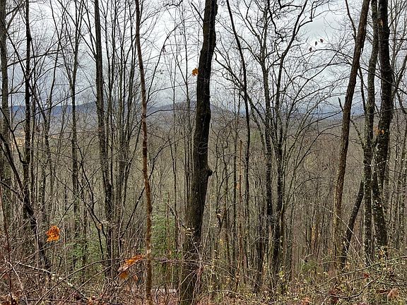 2nd image of 230 Mountain Cir