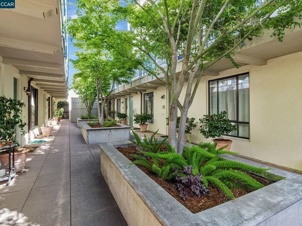 4395 Piedmont Ave #P208, Oakland, CA 94611