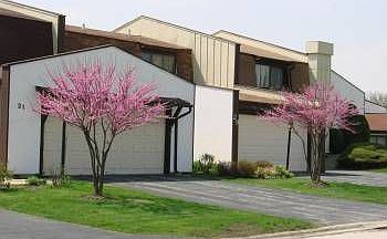1st image of 49 Westwood Ct