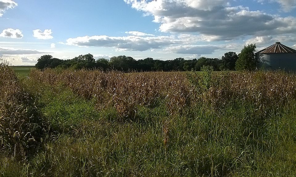 0 110th Ave, Dundee, IA 52038 Zillow