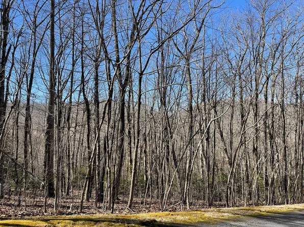 LOT 34-34J Ash Branch Cir, Hayesville, NC 28904