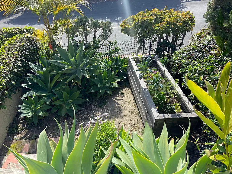 garden space