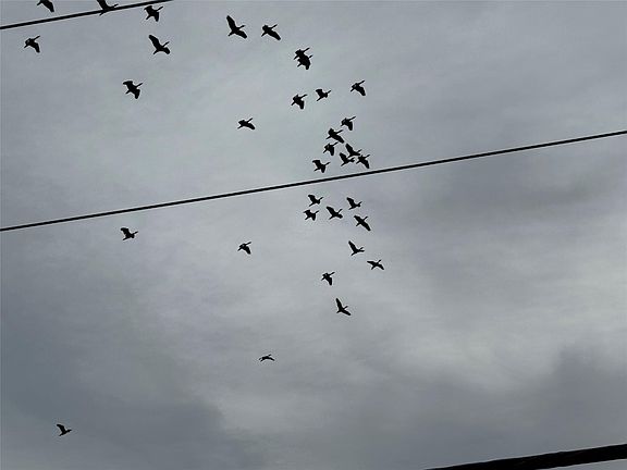 5th image of 0 County Road 46