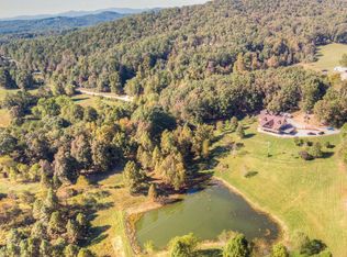 1673 Hardscrabble Rd, Mineral Bluff, GA 30559