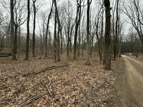 0 Wheat Ln, Lowell, MI 49331