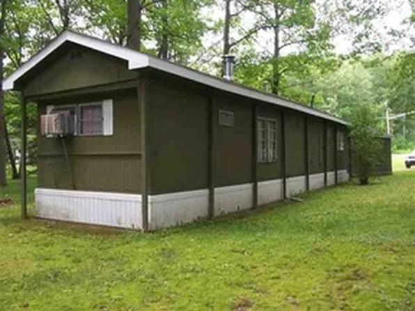 6932 Wickert Rd, Hale, MI 48739