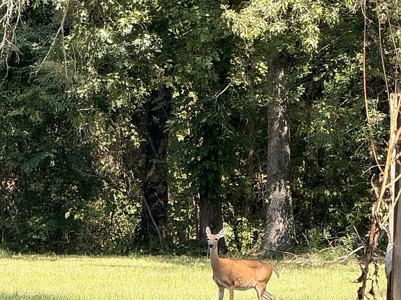4th image of 306 Lewis Akin Rd