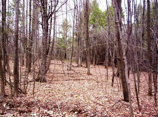 0 Beaver Lake Ln, Otego, NY 13825