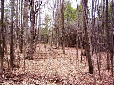 0 Beaver Lake Ln, Otego, NY, 13825