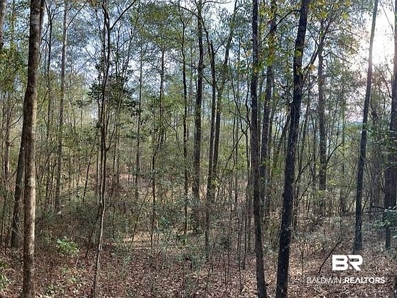 4th image of 21&22 Flat Creek Dr