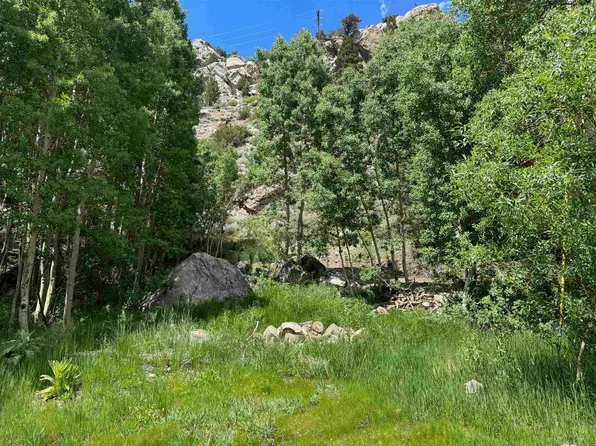 Unassigned Carson St, June Lake, CA 93529
