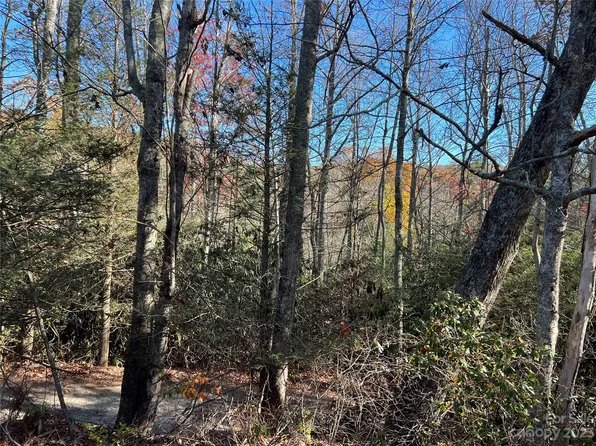 999999 Conifer Ct, Fletcher, NC 28732