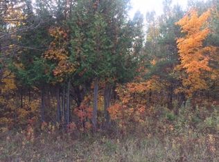 7766 Dekruif Rd, Levering, MI 49755