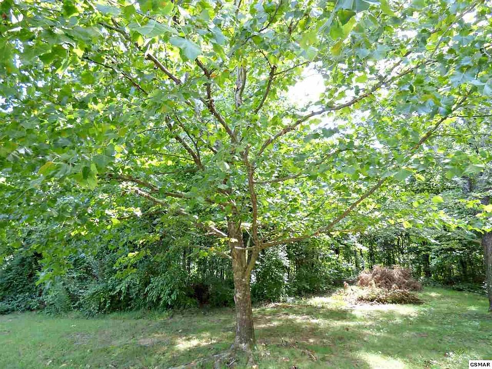 1st image of LOT 71 Chris Dale Dr Lot 71