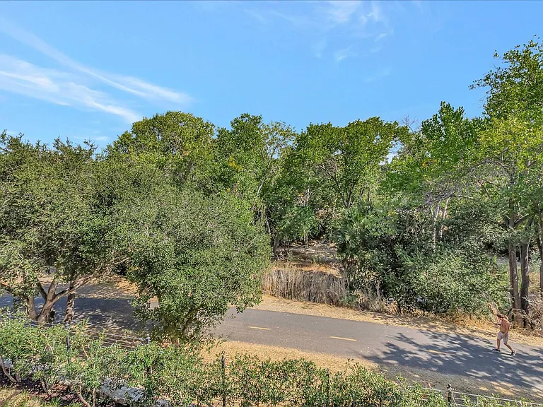 146 Lottie Ln — Photo 36