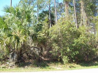 51 Bronson Ln, Palm Coast, FL 32137