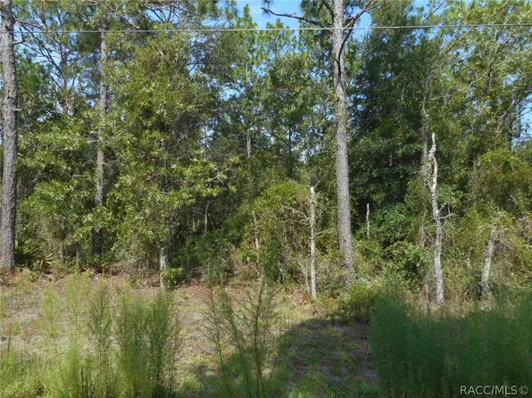 136 Terrace SW, Dunnellon, FL 34432