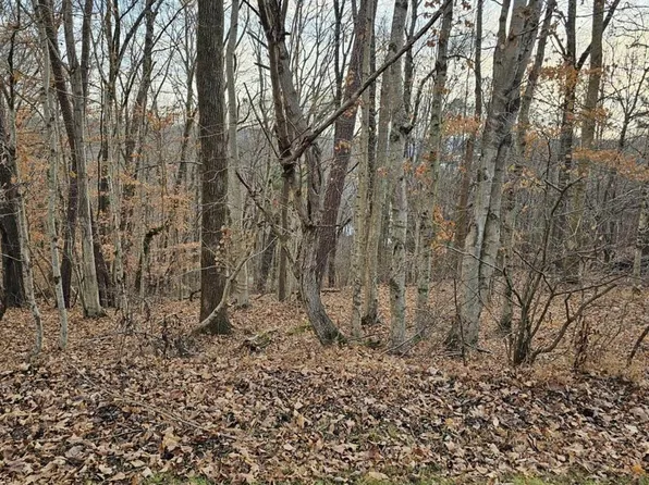 51 Cherokee Rd, Lucas, KY 42156