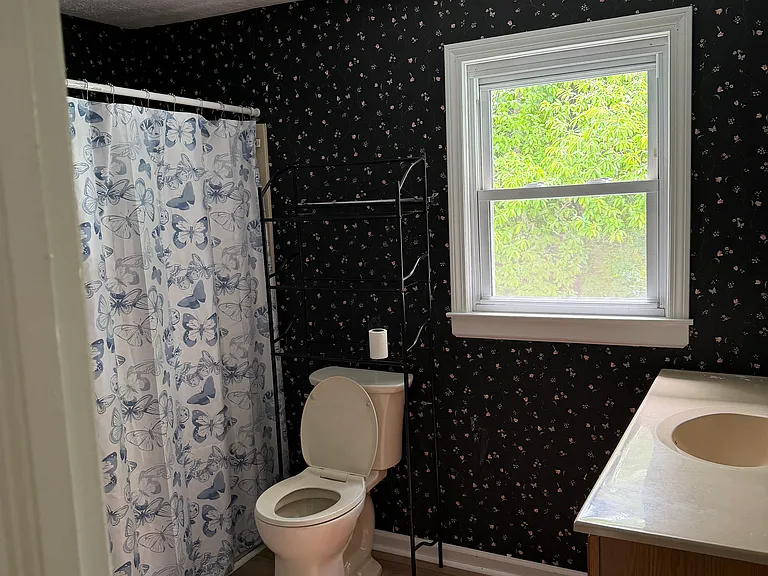 7359 Boylston Hwy — Photo 8