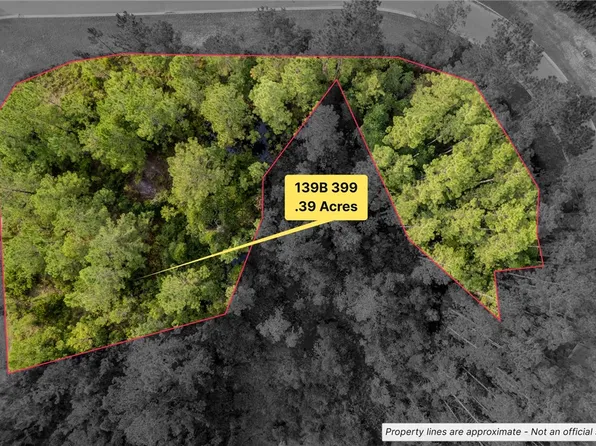 399 Whales Brook Way, Brunswick, GA 31525