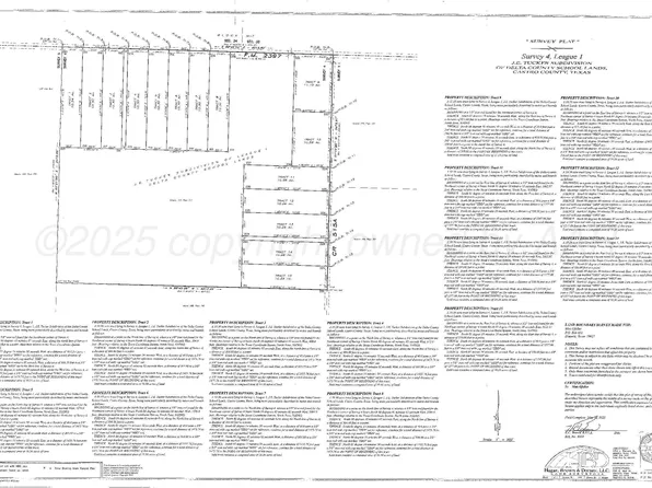 2397 Fm, Dimmitt, TX 79027