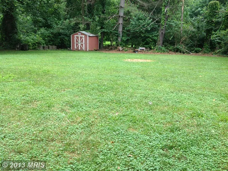 Rear yard-left