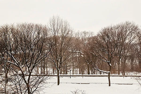 Sold by Brown Harris Stevens | media 12