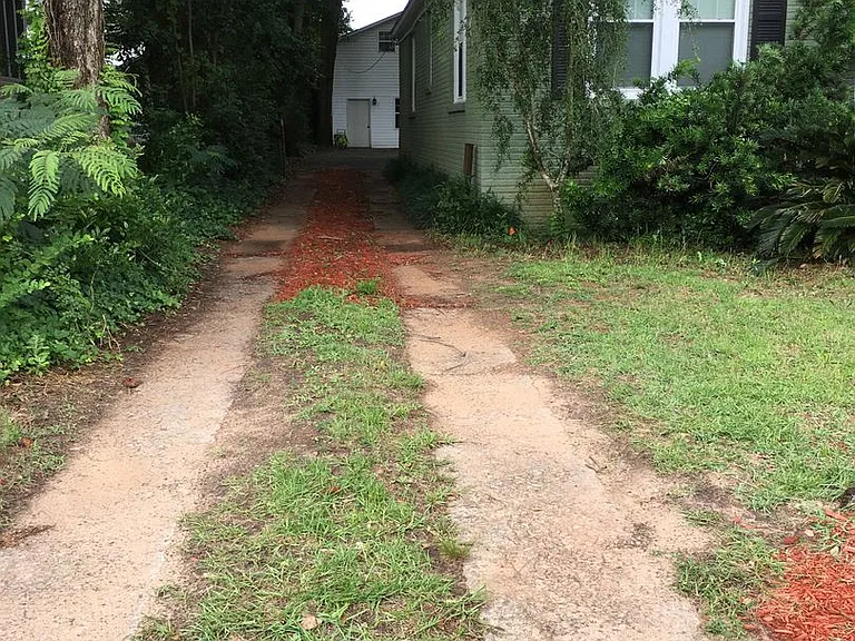 407 Edisto Ave — Photo 5
