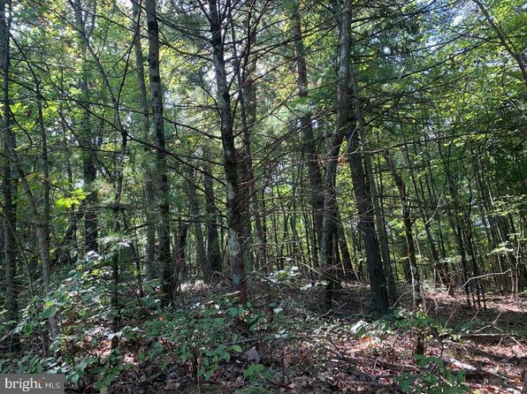 Sheepskin Hollow Rd, Mc Connellsburg, PA 17233