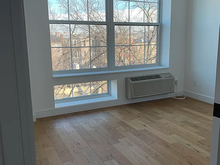 1229 Putnam Ave #4D — Photo 4