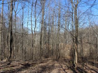 Beagle Club Rd, Scio, OH 43988