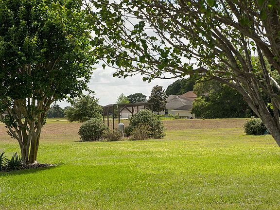 Small garden in backyard