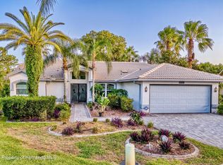 1319 Masada Ln, Spring Hill, FL 34608