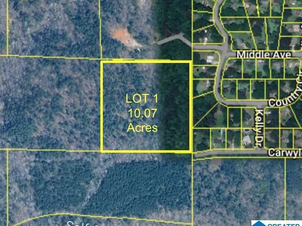 8260 Kermit Johnson Rd #1, Pinson, AL 35126