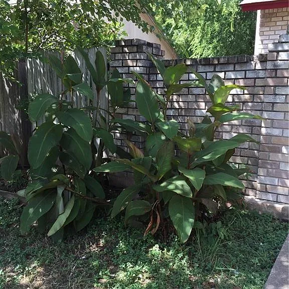 1801 Mearns Meadow Blvd #A — Photo 5