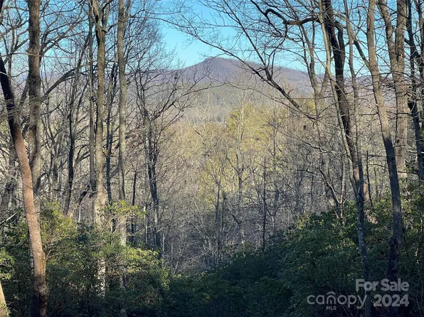 9999 Marshall Lake Rd, Cedar Mountain, NC 28718