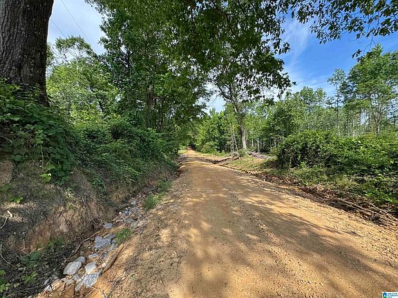2nd image of Active Rd #4