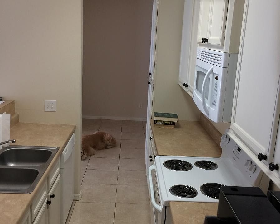 1st image of 176 Binnacle Ct