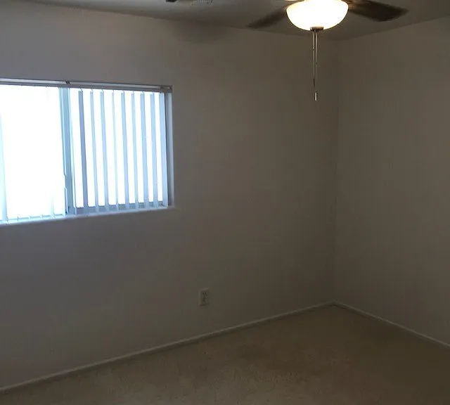 3955 Coyote Brush Ct — Photo 11