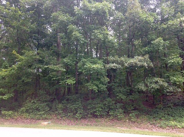 1st image of 191 W Pine Dr