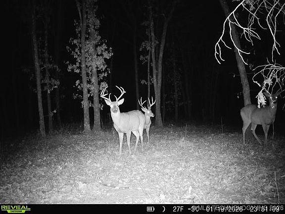 4th image of 4 N 364th Rd