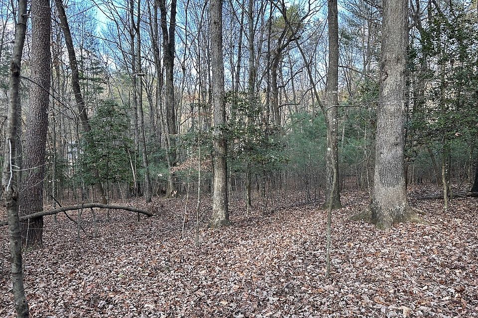 Township Road 4 Timber Falls Trl, Ellijay, GA 30536 | Zillow