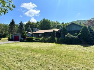 542 Narrow Notch Rd, Hobart, NY 13788