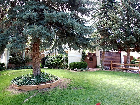 Front View from under pines