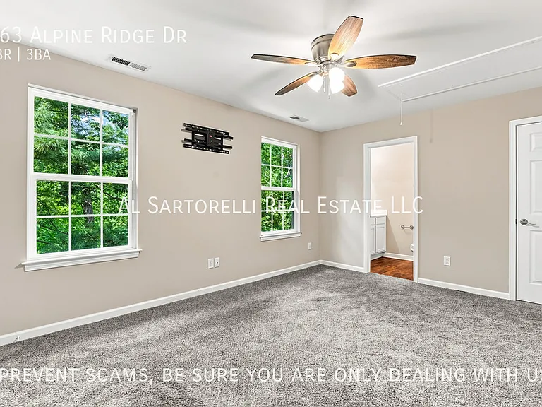 163 Alpine Ridge Dr — Photo 21