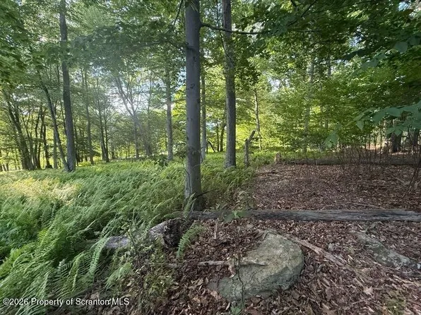 0 Scenicview Dr, Dallas, PA 18612