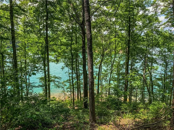 446 Peninsula Rdg, Sunset, SC 29685