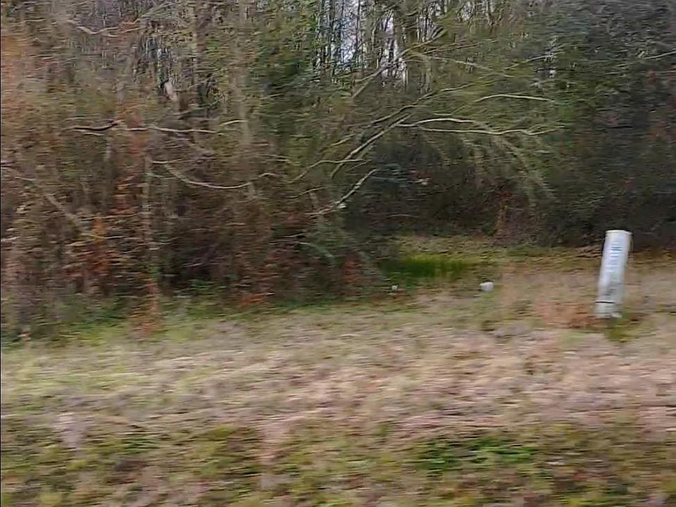 2nd image of LOT 111 El Scott Ave Lot 111