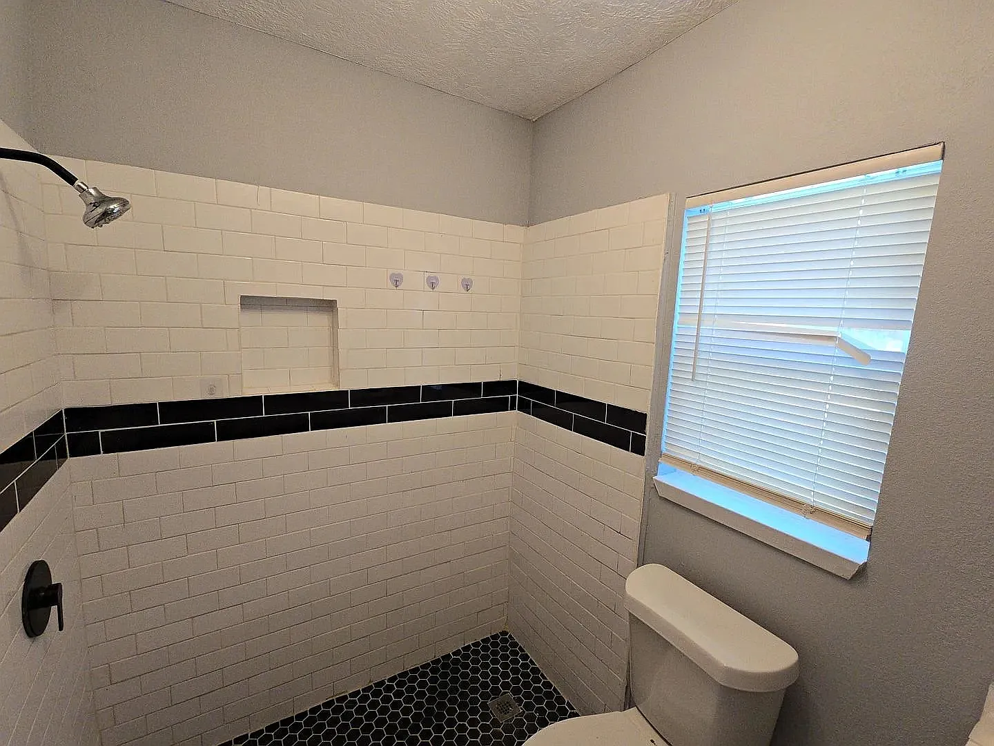 1 bed, $1,000 — Photo 3